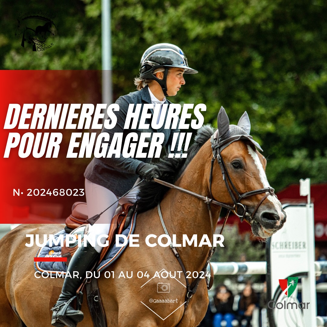 Plus que quelques heures pour vous engagez sur le Jumping de Colmar 🚀
💵 1000€ dotations pour les amateurs
🏆 GP 1m40
🚲 Ride and Bike
🕺🏼 Soirée DJ samedi soir
🥂 buvette restauration
🔝 nouvelle carrière