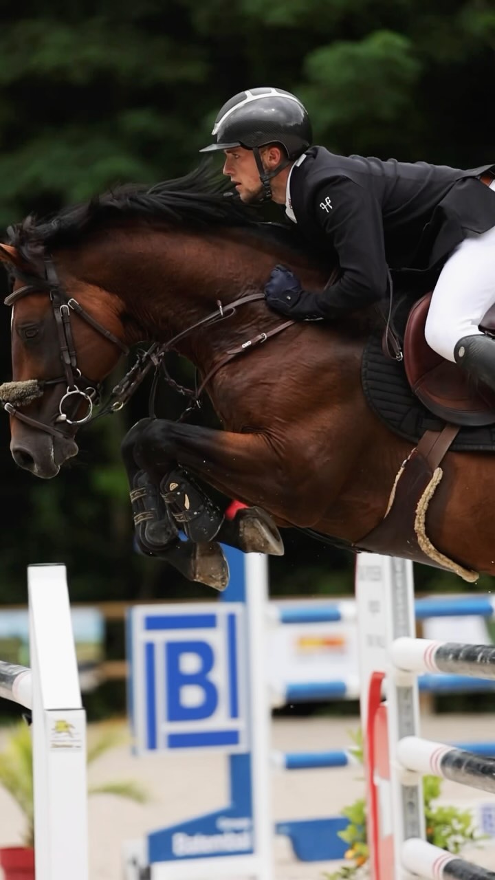 MERCI ❤️
Une belle première édition dans la nouvelle carrière. Une météo capricieuse mais vous avez tout de même répondu présents ☔️ Un grand merci à tous les cavaliers, coachs, grooms,… c’est un plaisir de vous accueillir 😍
Grande gratitude pour les partenaires nous qui permettent d’organiser des concours !
Et Big Up à l’équipe de bénévoles vous êtes au top👏🏼
Portez-vous bien, et on vous dit à l’année prochaine 🥰🍀🤩
📸 @fabienbulteauphotographie @equit_focus