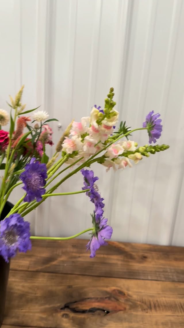A sweet custom bouquet order, with bright colors in mind 💗💜
#floraldesign#farmerflorist#bouquet#michiganflowerfarm#bright