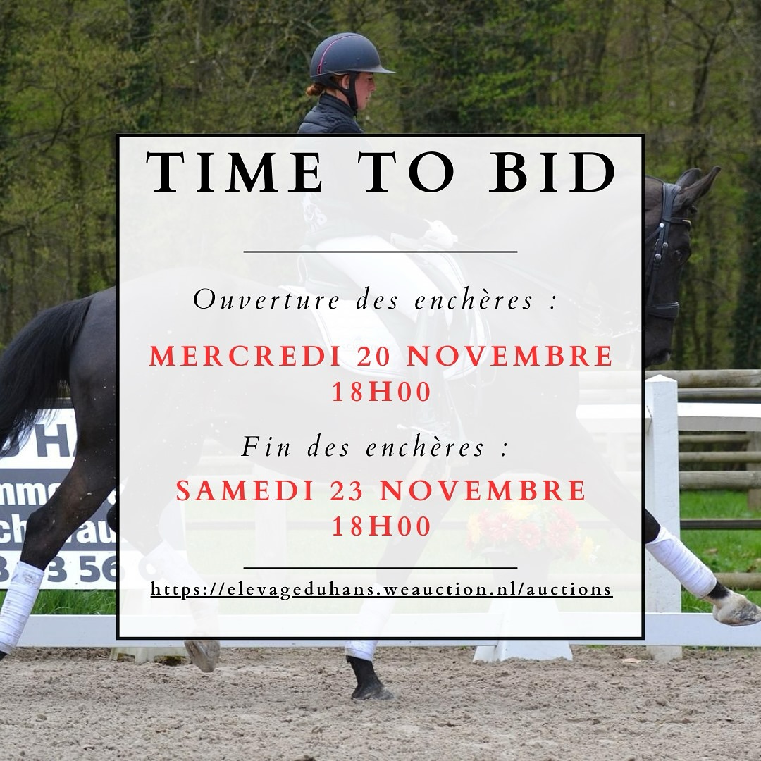 ⏰⏰ A partir de 18h ⏰⏰
📍Ouverture des enchères de notre sélection📍
Découvrez votre futur champion parmis 21 chevaux sélectionnés, dressés avec des résultats en compétition.
👉Il est encore possible de venir essayer les chevaux sur RDV au 0033 633935601
Pour s’inscrire ⬇️⬇️⬇️
https://elevageduhans.weauction.nl/auctions
⏰⏰ Starting at 6 PM ⏰⏰
📍Opening of the auction featuring our selection📍
Discover your future champion among 21 selected horses, trained with competition results.
👉It’s still possible to come and try the horses by appointment at +33 633935601
To register ⬇️⬇️⬇️
https://elevageduhans.weauction.nl/auctions (https://elevageduhans.weauction.nl/auctions)
⏰⏰ Ab 18 Uhr ⏰⏰
📍Eröffnung der Auktion unserer Auswahl📍
Entdecken Sie Ihren zukünftigen Champion unter 21 ausgewählten Pferden, die mit Wettbewerbsergebnissen ausgebildet wurden.
👉Es ist noch möglich, die Pferde nach Terminvereinbarung unter +33 633935601 auszuprobieren.
Um sich anzumelden ⬇️⬇️⬇️
https://elevageduhans.weauction.nl/auctions (https://elevageduhans.weauction.nl/auctions)