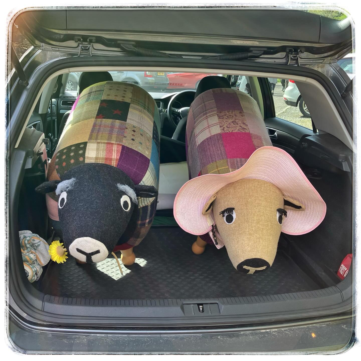 🐑😳🐑
You never know what you’ll see at @farfield.mill ! 🐑😳🐑
You never know what you’ll see at @farfield.mill !