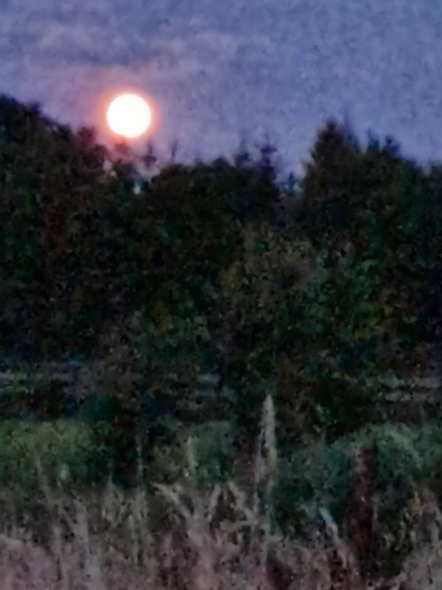 Full Moon rising...