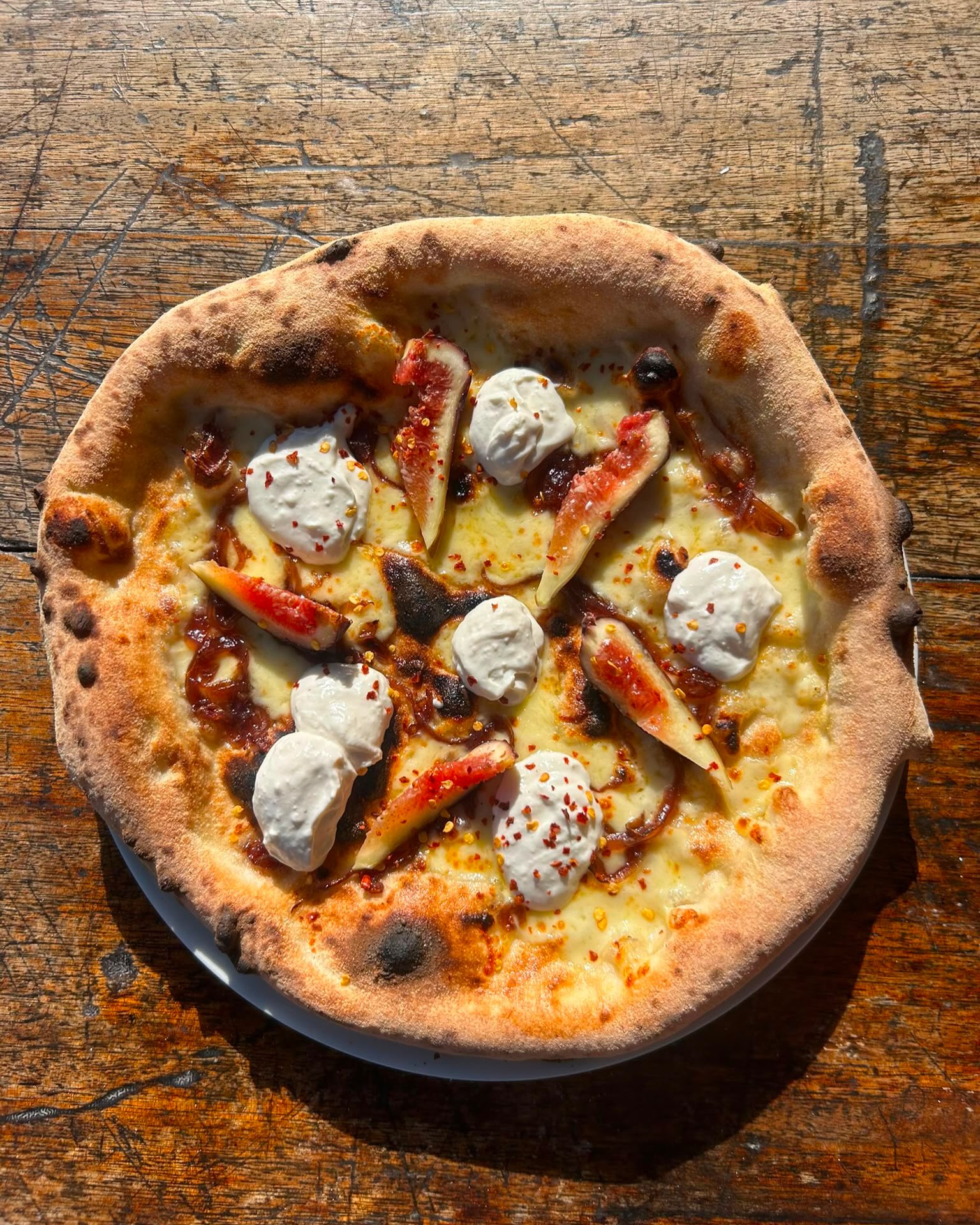 It’s not too late to grab our August specials!
FICHI DI PARMA
(No sauce), fior di latte, caramelised onions, whipped goats cheese, fig, prosciutto ham, dried chilli
CAPRINO
(No sauce), fior di latte, caramelised onions, whipped goats cheese, fig, dried chilli
FICO
(No sauce), vegan cheese, caramelised onions, whipped no-goat cheese, fig, dried chilli 🌶️
