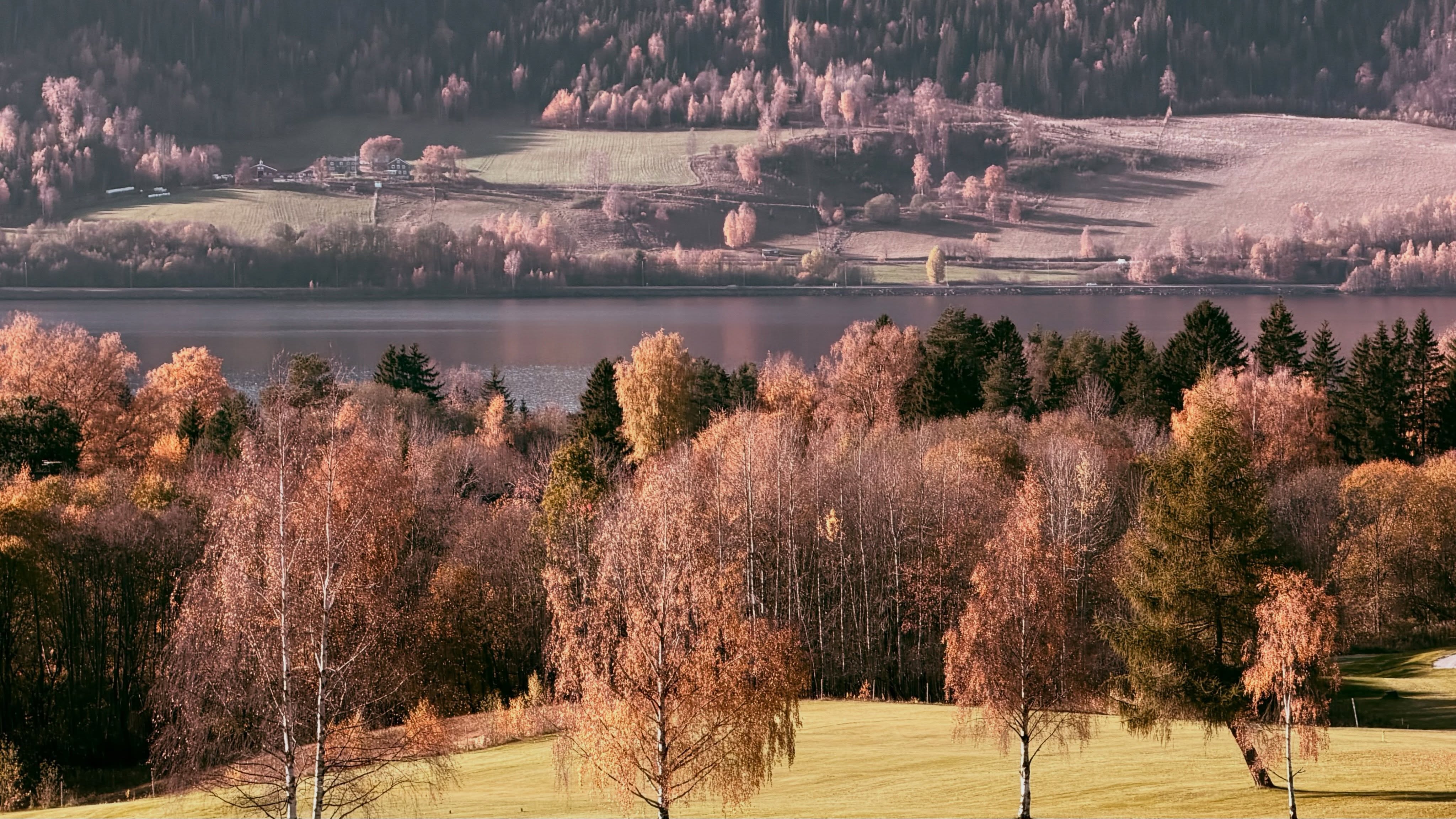 Grønn natur, stille vann og et lite øyeblikk av ro. 💚
Noen ganger er det akkurat dette sjelen trenger – å stoppe opp, puste dypt og bare nyte naturens stillhet.
English 🇬🇧
Green nature, calm water and a peaceful moment. 💚
Sometimes, this is exactly what the soul needs – to slow down, breathe deeply and simply enjoy the stillness of nature.
#grønnnatur #naturglede #indreRo #stillhet #pust velvære greenNature peacefulMoments natureLovers wellbeing